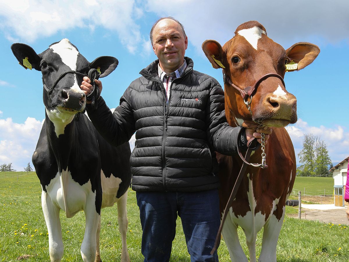 Ein Mann in schwarzer Jacke steht auf einer grünen Wiese zwischen zwei Kühen und hält ihre Halfter. Links eine schwarz-weiße, rechts eine braun-weiße Kuh; beide blicken nach vorn. Im Hintergrund blauer Himmel, Wolken und Bäume.